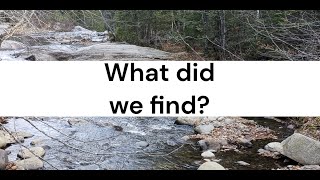 Two Brothers goes Gold mining. What did we find?