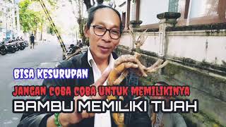 Mistis : JANGAN COBA COBA MENYIMPAN BAMBU UNIK, HATI HATI ADA PENUNGGUNYA #bambupetuk#rohgaib