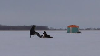 Рыбалка на Волге. Ветер-сильный. Рыба-ерш. Пельмени-вкусные!