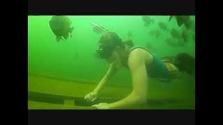 Free Diving Circleville