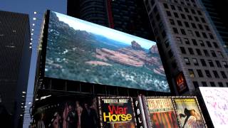 Times Square, New York City (2)