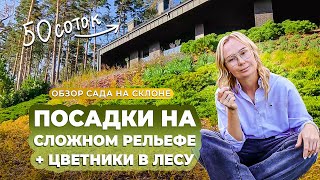 Посадки на сложном рельефе + цветник в лесу. Обзор сада на склоне.