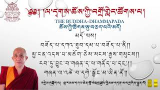 Day-35 The Buddha-Dhammapada  ཆོས་ཀྱི་ཚིགས་སུ་བཅད་པའི་མདོ། དཀའ་ཆེན་ཚུལ་ཁྲིམས། ལ་དྭགས་ཀྱི་སྐད།