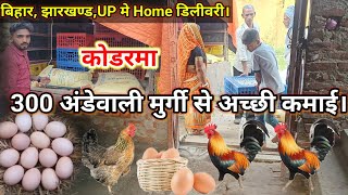 300 अंडेवाली मुर्गी से अच्छी कमाई। Profit in Poultry Farming. SONALI, KADAKNATH, ffg, RiR murgi.