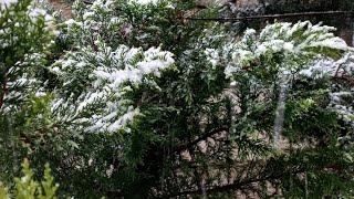 QAR. Snow.Kar. Bakıya da qar yağdı,