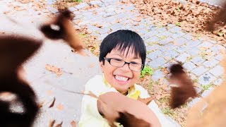 Autumn leaves , Fall fun- Darien having fun in autumn leaves after school