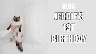 CAT VLOG | Jerrie's 1st Birthday | Cat does tricks | Mia doesn't want to wash herself