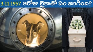 అస్సలు లైకాతో అంతరిక్షంలో  ఏం జరిగింది? WHY LAIKA GOT KILLED IN SPACE? TELUGUDOST