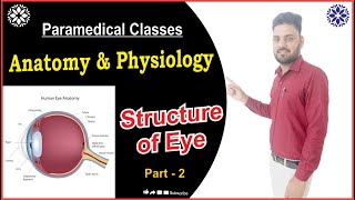 Human Eye Anatomy & Physiology in Hindi | Structure | Parts | Functions | iris  & lens & retina