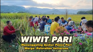 Wiwit pari, manunggaling syukur warga lan pamong jatisarono