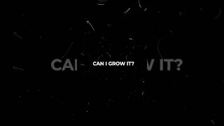 Are you aiming for rapid growth or building a business that meets your needs? 🚀  #growth #scaling