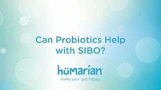 Can Probiotics help with SIBO?