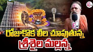 LIVE:🔴శ్రీశైల మల్లన్న లీలలు | Srishailam Mallanna Swamy | SumanTV Darsi