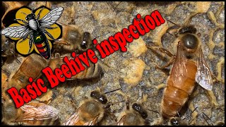 Basic beehive inspection tips