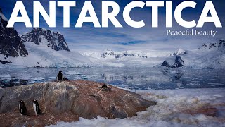 Mesmerizing Antarctica | Exploring Earth's Icy Wonderland