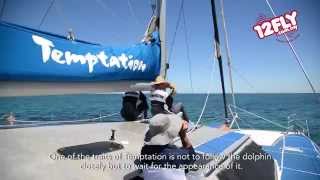 12fly TV - Rain onboard Temptation Sailing & swin with Dolphins, South Australia