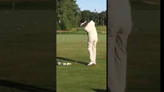 Bubba Watson Golf Swing