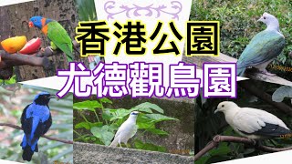 香港公園觀鳥園 丨超多品種小鳥和鸚鵡  [攝影迷必去🤩]