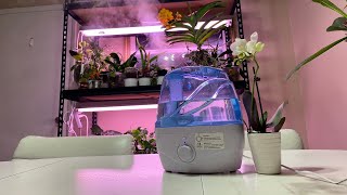 Homasy - Small But Powerful Humidifier For $35.99 (Unboxing Review)