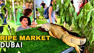 The RIPE Market Dubai | An outdoor Farmers Market in Dubai to explore in winter 2022