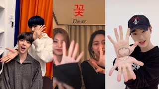 kpop idols and celebrities dancing to jisoo flower part 2