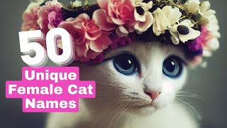 50 Unique Female Cat Name Ideas