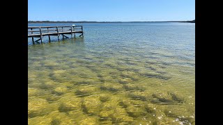 Ancient Wonders Beneath the Waves | Lake Clifton's Thrombolites | near Mandurah | Western Australia