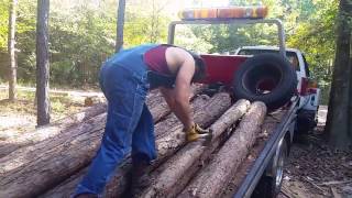 OFF GRID LOG CABIN BUILD #2   Mule Team Loadin Logs