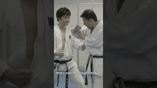 The Karate of Mikio Yahara - A Budo Warrior