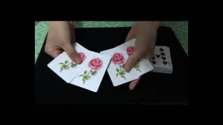 Rose Deck - Magic Trick