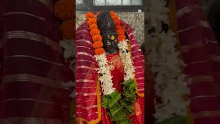 Mahadev Ji का तिरंगा झंडा श्रंगार सावन में #mahadev #shorts #mahakal #sawansomvaar