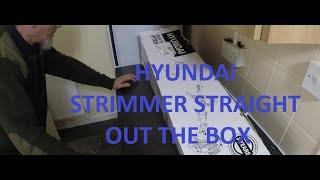 HYTR2600X hyundai strimmer