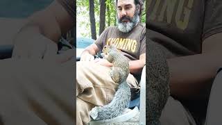 Squirrel Is Joy To Have Around