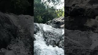 Flowing through the crags 💦  Location 📍Aralam Wildlife Sanctuary, Kerala #waterfall #travel