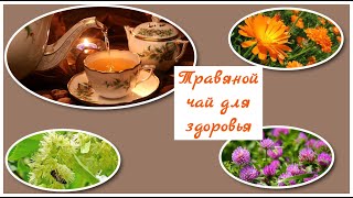 04.07.2023 Заготовка 🌿🌼🌺 лекарственных растений.Таволга, облепиха, клевер, зверобой, тысячелистник.