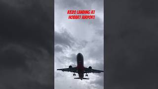 Plane spotting at Hobart #shortvideo #avgeeks #planespotting