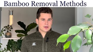 Permanently Remove Invasive Bamboo