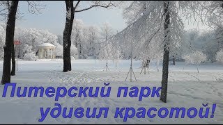 Питерский парк удивил красотой!