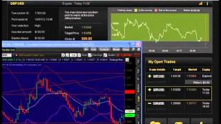 Binary Options Trading Signals