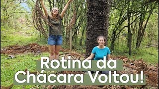 ROTINA DA CHÁCARA VOLTOU! VEM ASSISTIR