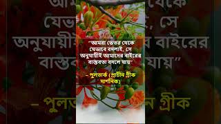 আমরা ভেতর থেকে যেভাবে বদলাই, সে অনুযায়ীই আমাদের বাইরের বাস্তবতা বদলে যায়#shortsvideo