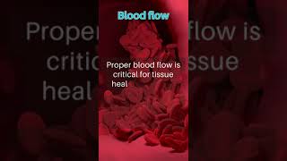 Blood flow │ Selected medical terminology │ #medicalterminology #bloodflow #short