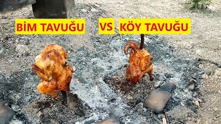 TENEKE KAPAMA YAPTIK.  MARKET TAVUĞU VS KÖY TAVUĞU