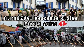 ALPABZUG: Descenso alpino 🇨🇭🐄🐐 - Fiesta suiza 🇨🇭