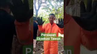 MEMAKAI APD INI SANGAT BERSEJARAH BAGIKU EKSEKUSI LEBAH TAWON TABUAN#shorts#videoshort #videoviral