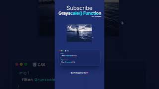 Grayscale() Function in images || learn with R programing mobile || #html #css #java