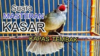 MASTERAN TERBAIK|| Suara Masteran Kasar KAPAS TEMBAK Gacor|| #masteran #kapastembak