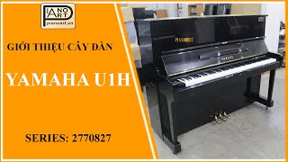 Đàn Yamaha U1H với âm thanh nổi bật phù hợp cho những thể loại nhạc cổ điển và đương đại - 2770827