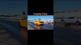 2018 MUSTANG GT NMRA RAW STICK SHIFT DRAG RACING COYOTE FURY