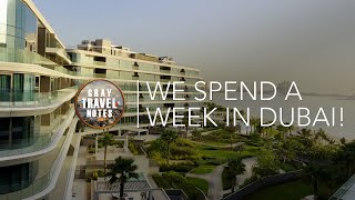 We visited Dubai for a week - All the things we see do eat in the desert city | Gray Travel Notes